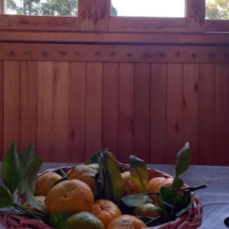 Cabana De Campo Cafe Da Manha Sitio Da Serrinha ボン・レチーロ エクステリア 写真