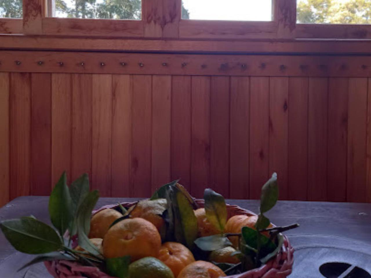 Cabana De Campo Cafe Da Manha Sitio Da Serrinha ボン・レチーロ エクステリア 写真